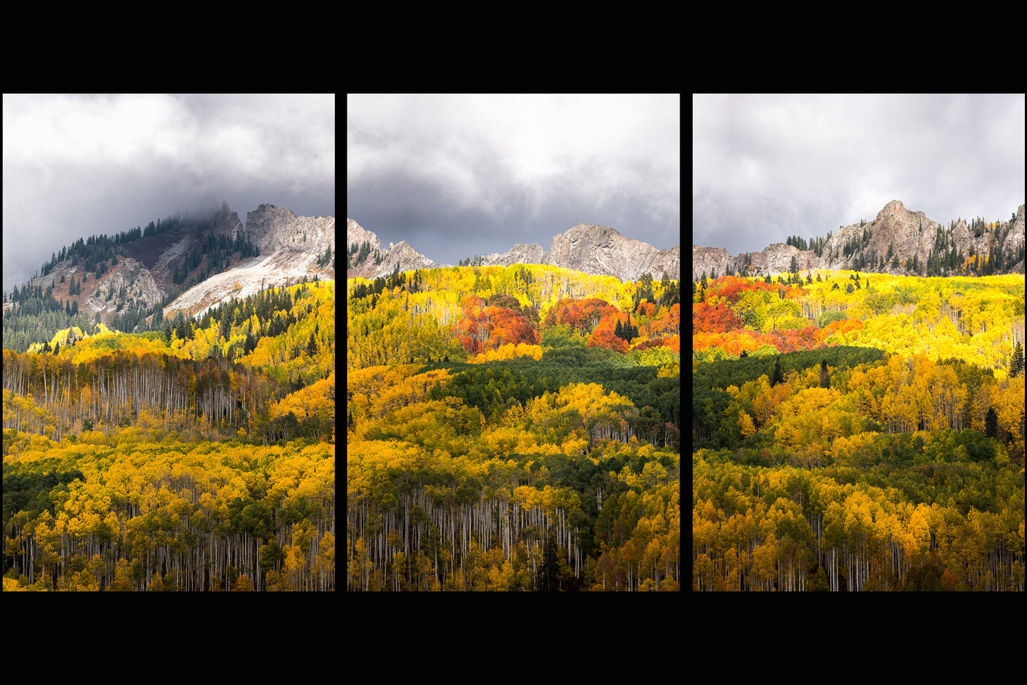 Fall Awakening