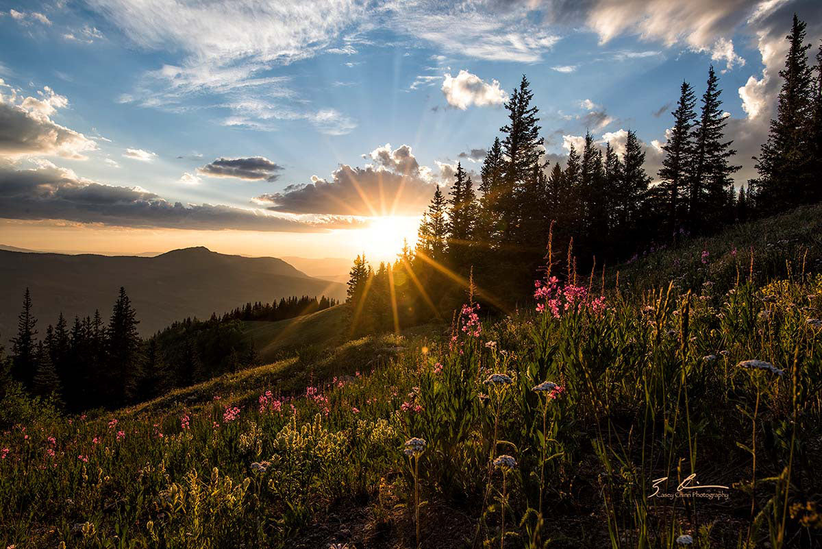 Summers Light - Traditional Photo Print