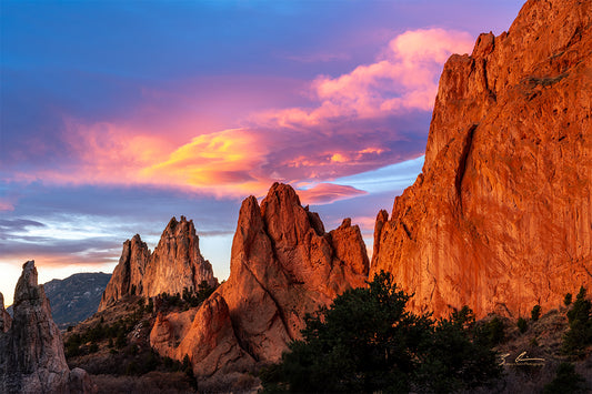 Fiery Sunrise in the Garden