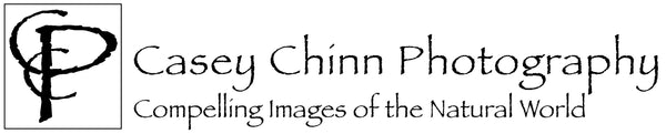 Casey Chinn Photography LLC