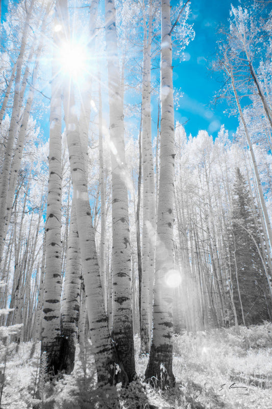 Radiance
