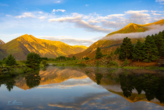 Summer Reflections