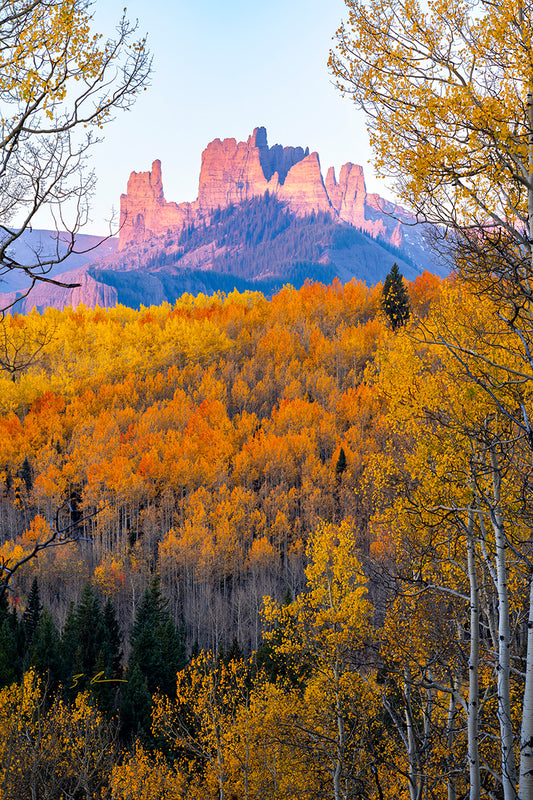 The Castles in the Fall